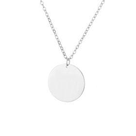 Personalized Gifts For Mom Unique Jewelry Pet Photo Cust Om (Option: Silver-2pendant-50cm)